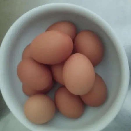 Fernanda 3* Cesenatico