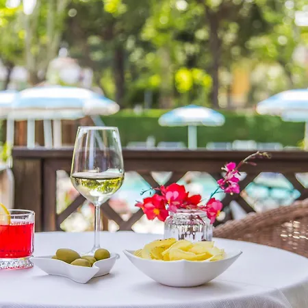 Hotel Villa Fernanda Hotel Cesenatico