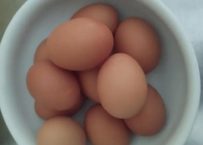 Hotel Villa Fernanda 3* Cesenatico